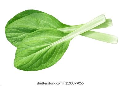 188 Pechay Images, Stock Photos, 3D objects, & Vectors.